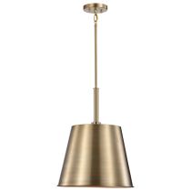 ALEXIS 1LT LG PENDANT - 60-7938