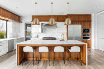 ALEXIS 1LT LG PENDANT - 60-7938