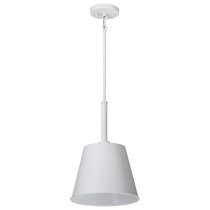 ALEXIS 1LT SM PENDANT - 60-7949