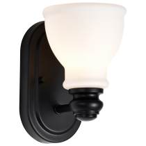 RUSSEL 1 LIGHT VANITY - 60-8021