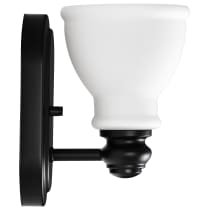 RUSSEL 1 LIGHT VANITY - 60-8021