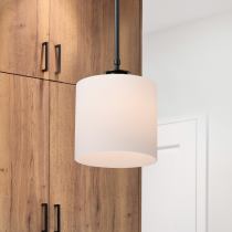 WARREN 8" PENDANT - 60-8036