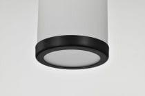 ROSELLE MINI PENDANT - 60-8053