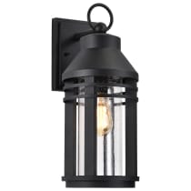 WILTON 1 LIGHT LG WALL LANTERN - 60-8103