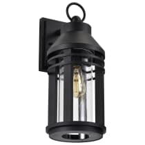 WILTON 1 LIGHT LG WALL LANTERN - 60-8103