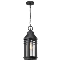 WILTON 1 LIGHT HANGING LANTERN - 60-8104