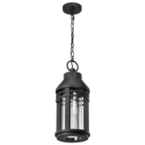 WILTON 1 LIGHT HANGING LANTERN - 60-8104
