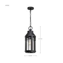 WILTON 1 LIGHT HANGING LANTERN - 60-8104