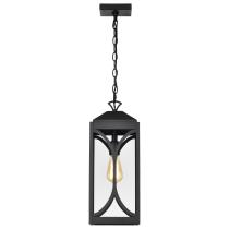 OAKLYN 1 LT HANGING LANTERN - 60-8125
