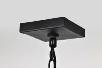 OAKLYN 1 LT HANGING LANTERN - 60-8125