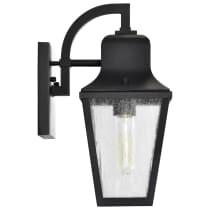 LAWRENCE 1 LT SM WALL LANTERN - 60-8131