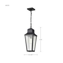 LAWRENCE 1 LT HANGING LANTERN - 60-8135