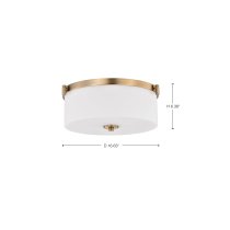 LIAM 3 LIGHT FLUSH MOUNT - 60-8207
