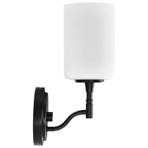 LIAM 1 LIGHT VANTIY - 60-8211