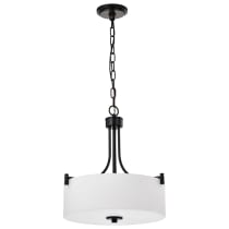 LIAM 3 LIGHT PENDANT - 60-8214
