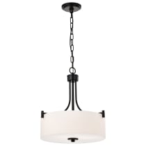 LIAM 3 LIGHT PENDANT - 60-8214
