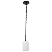 LIAM 1 LIGHT MINI PENDANT - 60-8215