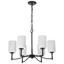 LIAM 6 LIGHT CHANDELIER - 60-8216