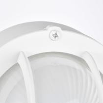 LED SMALL OVAL BULK HEAD - 62-1388