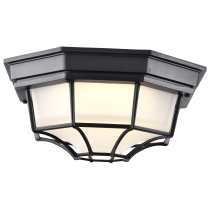 LED SPIDER CAGE - 62-1400