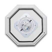 LED SPIDER CAGE - 62-1420