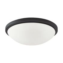 LED BUTTON BL 17" FLUSH - 62-1444