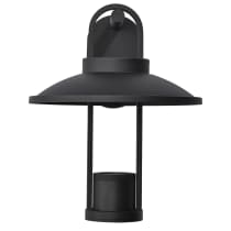 HARRIMAN 12W LED MED WALL LANT - 62-1605