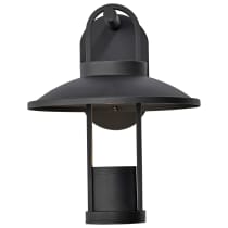HARRIMAN 12W LED LG WALL LANT - 62-1606