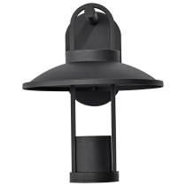 HARRIMAN 12W LED LG WALL LANT - 62-1606