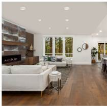 10" LED DISK LIGHT W/ OCC WHIT - 62-1821