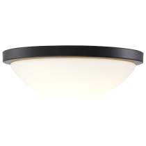 LED BUTTON BL 11" FLUSH - 62-1942