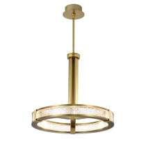 DARROW 24" LED PENDANT - 62-2013
