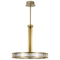 DARROW 24" LED PENDANT - 62-2013
