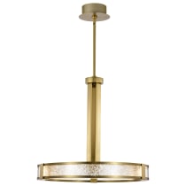 DARROW 24" LED PENDANT - 62-2013