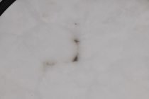 KENDALL 14" LED FLUSH MOUNT - 62-2101