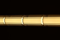 EVANDER 48" LED ISLAND PENDANT - 62-2452