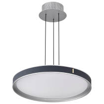 BANDON 20" LED PENDANT - 62-3001