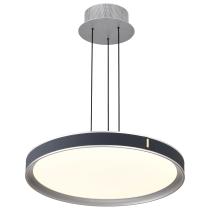 BANDON 20" LED PENDANT - 62-3001