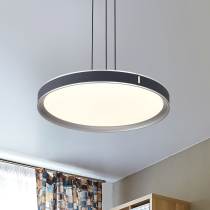 BANDON 20" LED PENDANT - 62-3001
