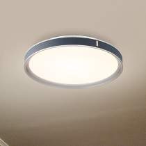 BANDON 20" LED FLUSH MOUNT - 62-3002