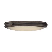 HOUSTON LED FLUSH FIXTURE - 62-301