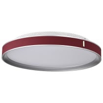 BANDON 20" LED FLUSH MOUNT - 62-3012
