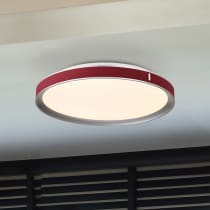 BANDON 20" LED FLUSH MOUNT - 62-3012