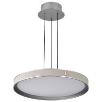 BANDON 20" LED PENDANT - 62-3021