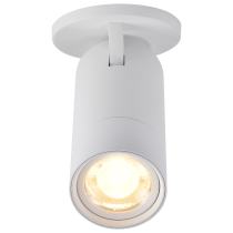 30W BEAM ADJ MONOPOINT WHT - 62-3505