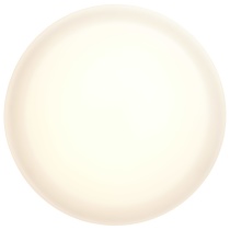 PI LED 11" FLUSH BRUSHED NICK - 62-559