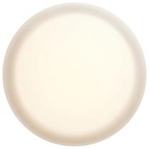 PI LED 11" FLUSH MATTE BLACK - 62-569