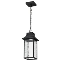 AUSTEN 1LT OUTDOOR HANGING - 62-5996