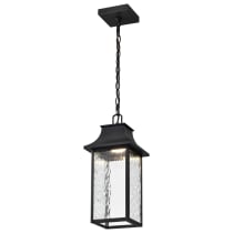 AUSTEN 1LT OUTDOOR HANGING - 62-5996