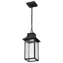 AUSTEN 1LT OUTDOOR HANGING - 62-5996